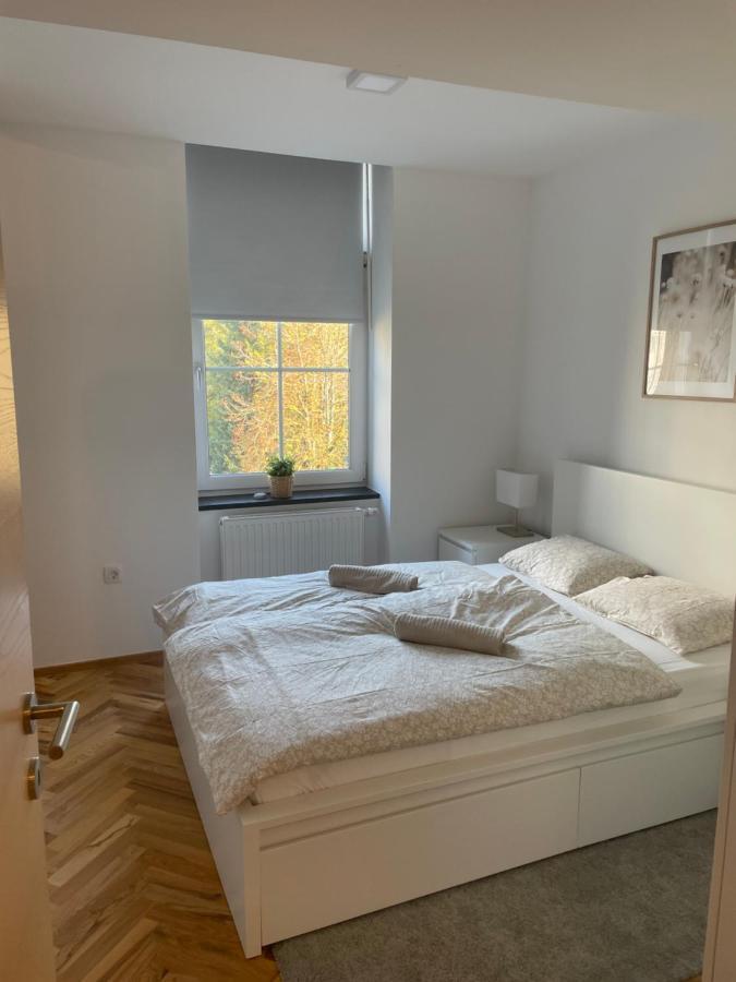Casa Park Premium Free Parking Maribor Exterior photo